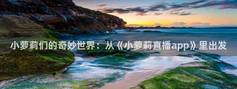 火凤直播体育免费直播火箭：小萝莉们的奇妙世界：从《小萝莉直播app》里出发