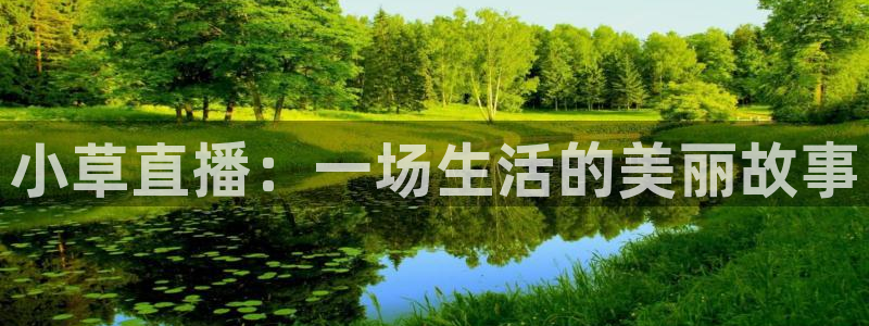火凤直播体育免费直播火箭：小草直播：一场生活的美丽故事