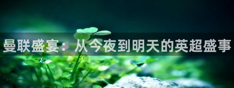 火凤斗球直播体育