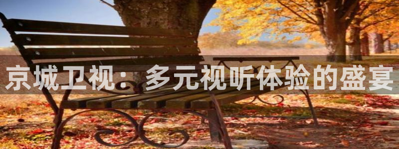 火凤体育：京城卫视：多元视听体验的盛宴