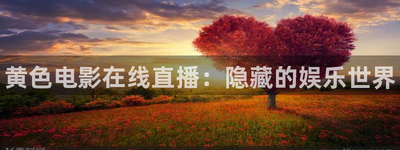 火凤直播体育足球：黄色电影在线直播：隐藏的娱乐世界