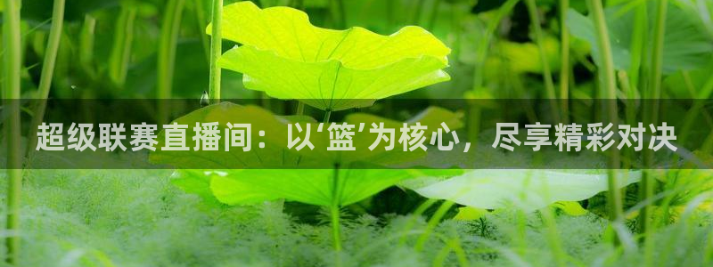 火凤直播体育：超级联赛直播间：以‘篮’为核心，尽享精彩对决