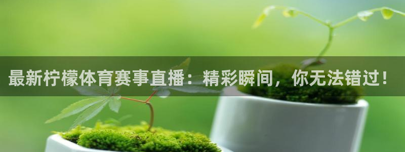 火凤直播足球