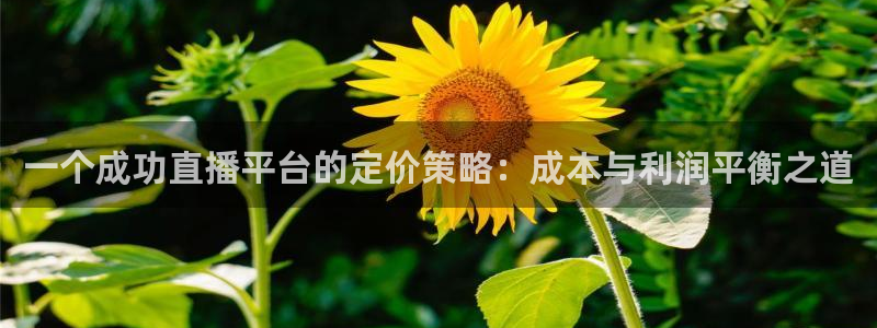 火凤直播足球免费观看