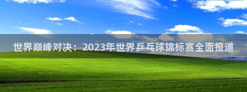 火凤足球直播：世界巅峰对决：2023年世界乒乓球锦标赛全面报道